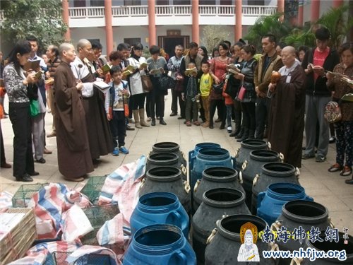 四众弟子为放生物命三皈依.