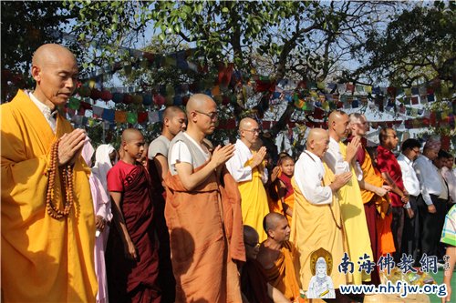 穿各式服式的僧众,跨越国界,为尼泊尔地震灾民祈福
