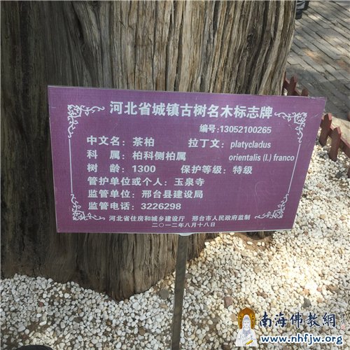 古树标志牌