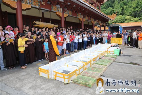 智空法师为物命洒净