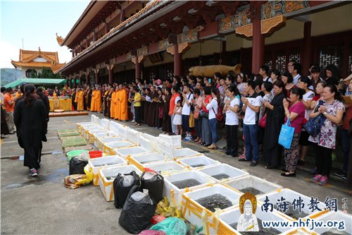 十方善信参加放生法会,愿物命能早日离苦得乐
