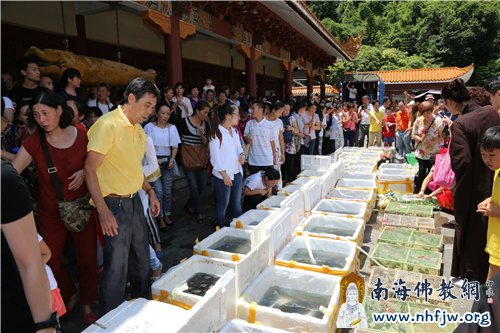 善信准备将放生的物命送上专车,前往放生地放生