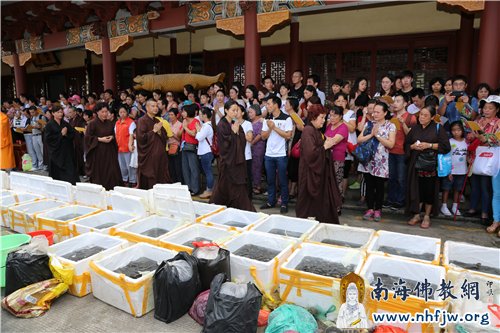 功德主念诵佛号,祈愿物命能闻此佛号种下金刚种子