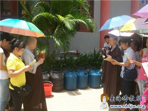 居士们在师父的带领下为放生物命皈依